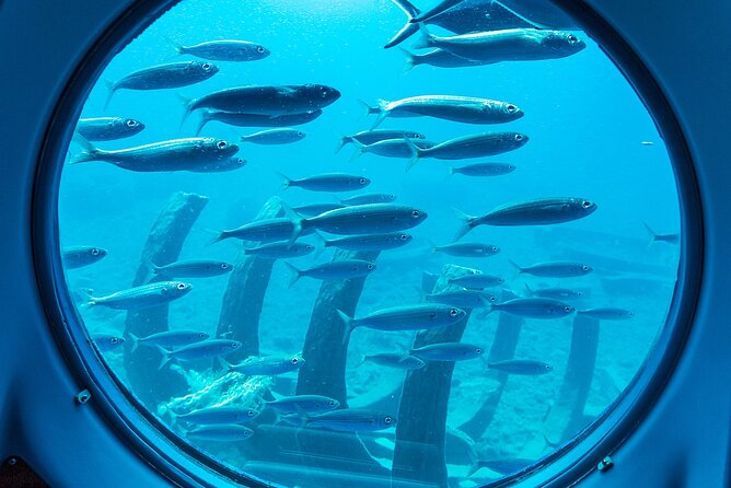 SUBMARINE ADVENTURE - Submarine Excursion in Puerto de Mogán - Weather and visibility: the two big variables you should plan around