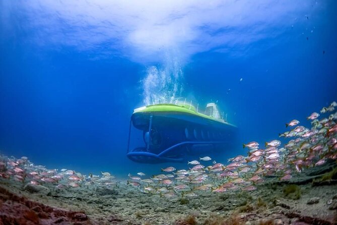 SUBMARINE ADVENTURE - Submarine Excursion in Puerto de Mogán - La Atlántida artificial reef and the sunken wrecks you’ll see