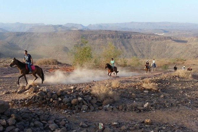 The Best Horse Riding Experience in Gran Canaria (1 hour) - Price and value: what $43.14 really buys you