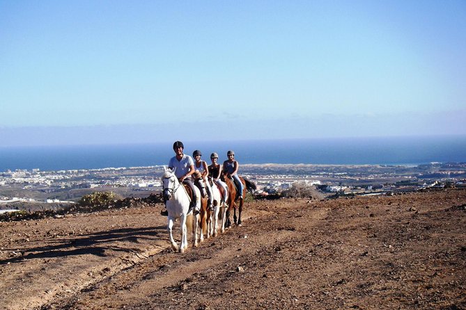 The Best Horse Riding Experience in Gran Canaria (2 hours) - A 2-Hour Horse Trek With Serious Gran Canaria Scenery