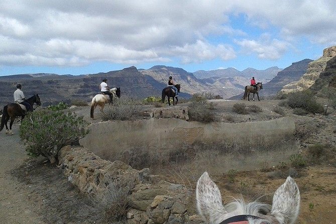 The Best Horse Riding Experience in Gran Canaria (2 hours) - Getting There: El Salobre Stable and Easy Pickup/Drop-Off