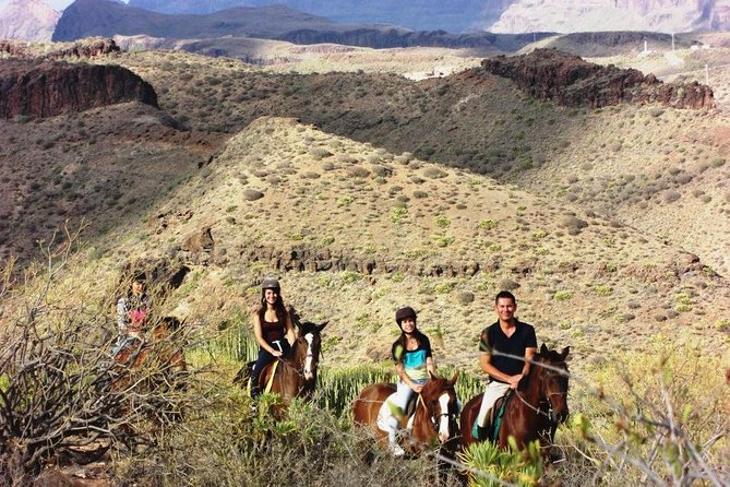 The Best Horse Riding Experience in Gran Canaria (2 hours) - What’s Included and What You May Want to Add