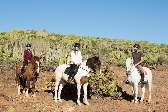 The Best Horse Riding Experience in Gran Canaria (2 hours) - Who This Tour Suits Best (Beginner-Friendly With Real Views)